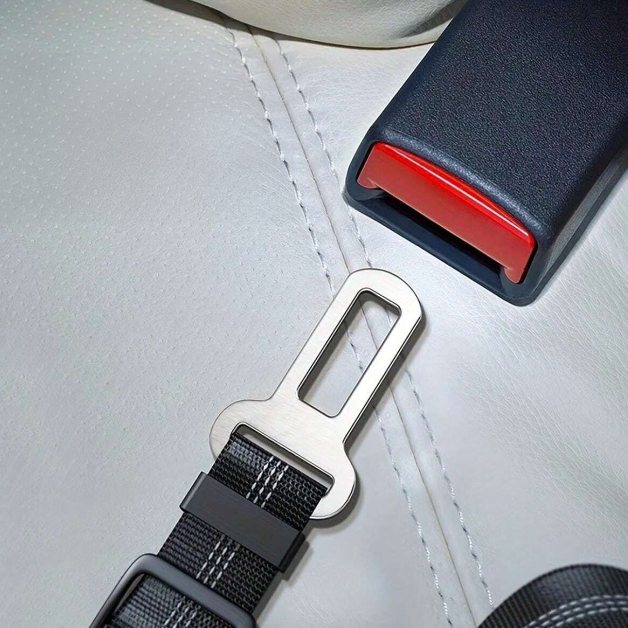 Pás pro psa do auta